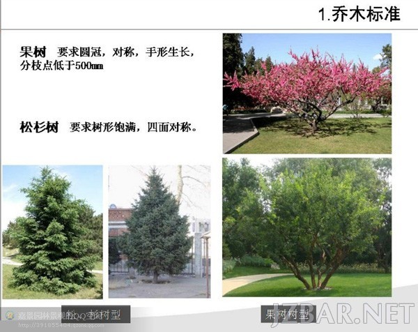 151309y1io6ve5ll8febsd.jpg