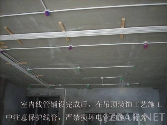 093844auntspvphfzjxg92.jpg.thumb.jpg
