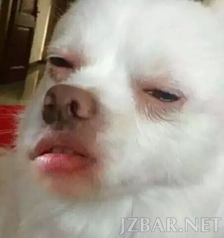 141529lewqcijyp7wnjnpd.jpg